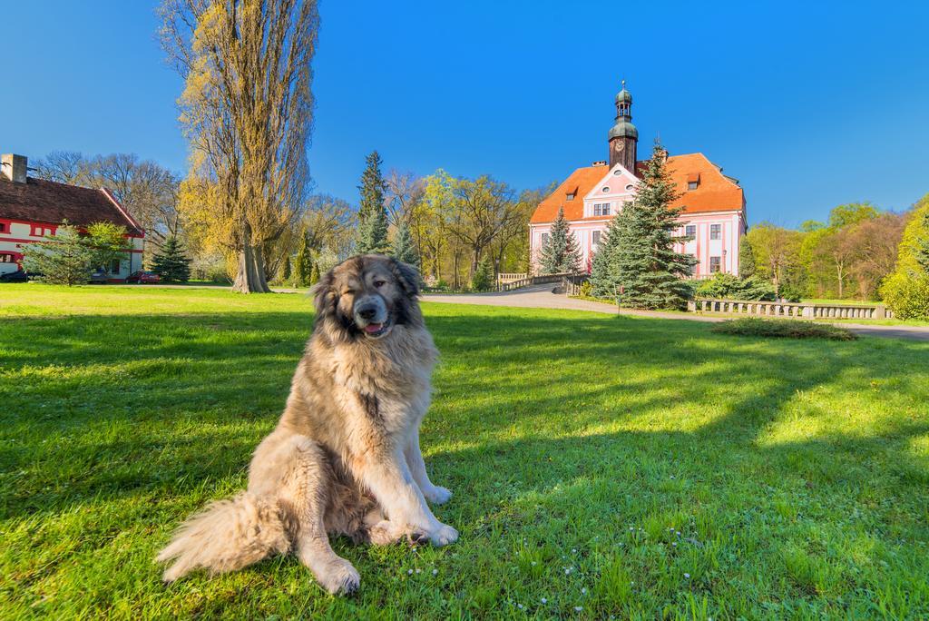 Boutique Palac Warmatowice Sienkiewiczowskie Legnica Luaran gambar